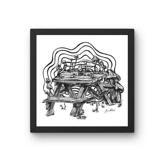 Echoes of the Meadow